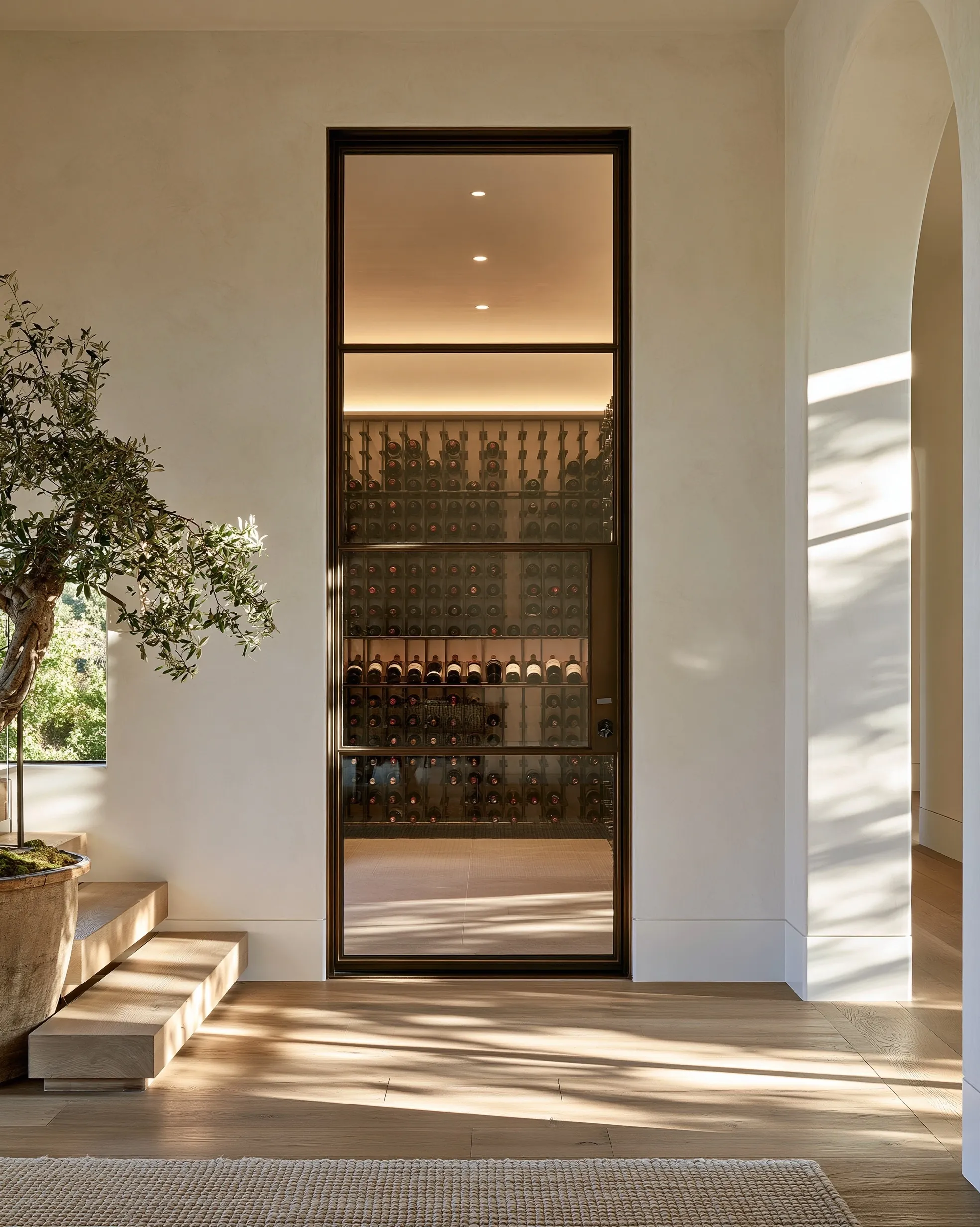 Tall bronze-framed glass cellar door in a plaster wall showing lit racking inside, beside an olive tree on a sunlit oak floor